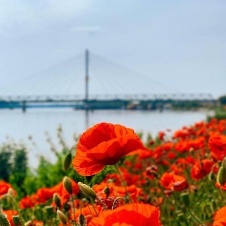 Amira Apartman Komárno 외부 사진