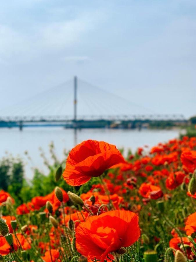 Amira Apartman Komárno 외부 사진